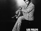 LEE FIELDS-LETS TALK IT OVER (DELUXE EDITION)-VINYL LP (2) TRUTH AND SOUL NEW