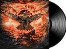 FALCONER Black Moon Rising 180g BLACK Vinyl LP [Limited: 300]