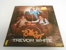 TREVOR WHITE - CRAZY KIDS -RARE GERMAN ISSUE IN UNIQUE P/S ISLAND 17 206 - MINT