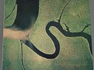 DEAD CAN DANCE - THE SERPENT'S EGG - LP 1988 Italy pressing