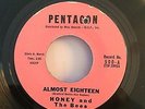 Honey and The Bees 