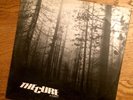 THE CURE - A FOREST (12