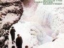 Echo & The Bunnymen - Porcupine 180 Gram WHITE LP - IMPORT - new copy