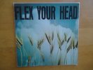Flex Your Head-Minor Threat-Government Issue-Youth Brigade-Teen Idles-Deadline