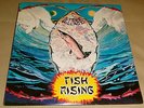 Steve Hillage Fish Rising Original SEALED LP Former Gong 1975 Island US Press