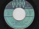 Deep Soul Islands 45 - Richard Stoute - I'm Gonna Be Fine - Trex - mp3