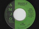 Sweet Soul/Funk 45 - Futures - Breaking Up - Amjo - mp3