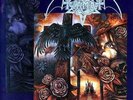 TIAMAT clouds Original LP