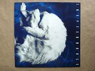 CHAPTERHOUSE - WHIRLPOOL - UK 1991 - Vinyl LP - Very Good+/Very Good - Shoegaze