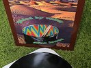 GUIDED BY VOICES ALIEN LANES vinyl LP 1995 MATADOR NM-/NM- gatefold ORIG PRESS