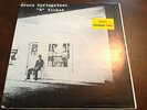Bruce Springsteen E Ticket COLOR SWIRL vinyl  live Test Pressing BOSS