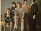 THEM/ VAN MORRISON Angry Young Them 1965 mono or. lp beat/garage