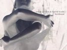 Bordeaux - 2 DISC SET - Robin & Harold Budd Guthrie (2012, Vinyl New) Lmtd E