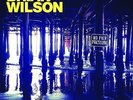 No Pier Pressure by Brian Wilson (Pop) (Vinyl, Nov-2014, Virgin EMI (Universa...
