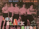 listen Garage Beat LOS BLACK BIRDS catch us if you can OBSCURE MEXICAN beat 45