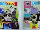 DICKIES JAPANESE 12