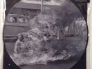 Rage Against The Machine XX 20th Anniversary Ltd. PICTURE Disc LP [Vinyl, NEW]