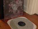 LA DISPUTE WILDLIFE VINYL 2xLP GREY MARBLE