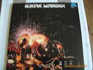 ELECTRIC SANDWICH SAME BRAIN 1018 RE VINYL M- RARE KRAUTROCK