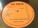Sowell Radics Love Is What She Wants Rare Killer Roots Nr Mint 12