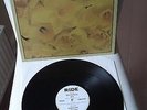 RIDE (Shoegazer)     Vinyl 12