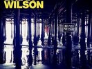 Brian Wilson NO PIER PRESSURE +MP3s Gatefold CAPITOL RECORDS New Vinyl 2 LP