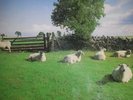 THE KLF CHILLOUT VINYL..RARE UK ORIGINAL PRESS VINYL IN VG+CONDITION