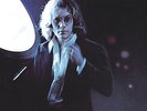 WARREN ZEVON Self-Titled 180g VINYL LP RECORD Brand New