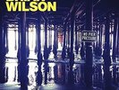 BRIAN WILSON**NO PIER PRESSURE (WITH DOWNLOAD/GATEFOLD)**2 VINYL SET