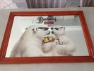 VINTAGE ? AUSTRALIAN BUNDABERG BUNDY BEAR RUM 3 LABEL BOTTLE BAR MIRROR SIGN GC