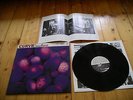 CURVE CUCKOO VINYL LP NM (LUSH, RIDE) WITH SMALL POSTER