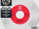 David Bowie/Tom Verlaine RSD Vinyl LP Kingdom Come 7