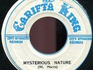 The African Brothers - Mysterious Nature JA Carifta King 7