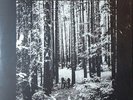 Depeche Mode - Live In Austin Gray Marble 2 x LP - new copy
