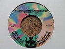 THE MVP`S - TURNING MY HEARTBEAT UP
