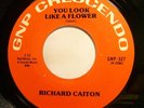Doo-wop 45 - Richard Caiton/Grp - You look like a flower - Mint