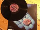 Coldplay The Blue Room - Rare 12