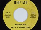 Funk/Crossover Soul 45 RAY J. & NORMA JEAN Raising Hell HEP ME NM/VG++ HEAR