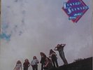 Lynyrd Skynyrd - Nuthin' Fancy 1980 Vinyl LP Records :Nothing Band Southern