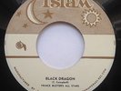 BUSTER'S ALL STARS ** Black Dragon ** JET 707 Ska MONSTER Hear