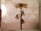 Relient K mmhmm Clear Coke Bottle Vinyl Unopened Factory SEALED 2004 RARE 2 LPs