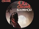 Blizzard Of Ozz - Ozzy Osbourne (2011, Vinyl NEUF) Picture Disc