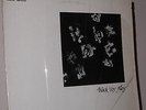 Rare Texas Garage Rock LP Black Voy Alley   1972 Private Pressing VG+/VG++
