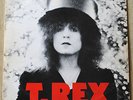 T Rex - The Slider