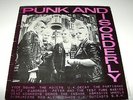 Punk and Disorderly Record