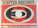JUDY CLAY   You Busted My Mind   Scepter northern soul 45 VG+