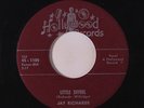 JAY RICHARDS: Little Shyrel / Echoes On My Mind 45 rare Blues & R&B