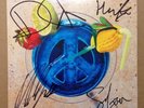 Rare Singed Peace - Lost on me 7