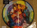 Manic Street Preachers - The Holy Bible 20 - Picture Disc- 2015 Record Store Day