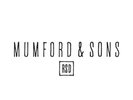 MUMFORD AND SONS - BELIEVE - RSD 2015 - 7